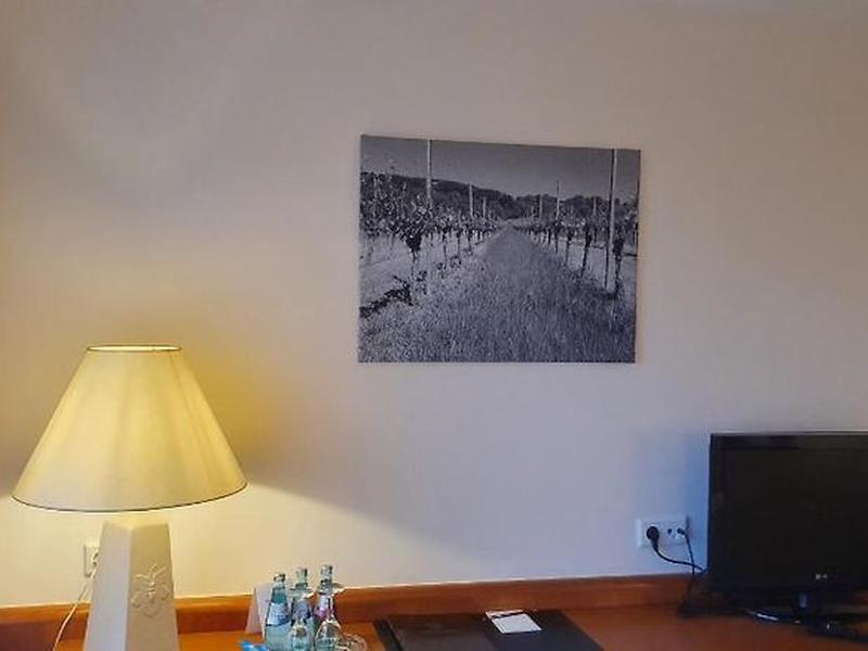 B6F702FA0436485AC20CB6A5E46D2F7B