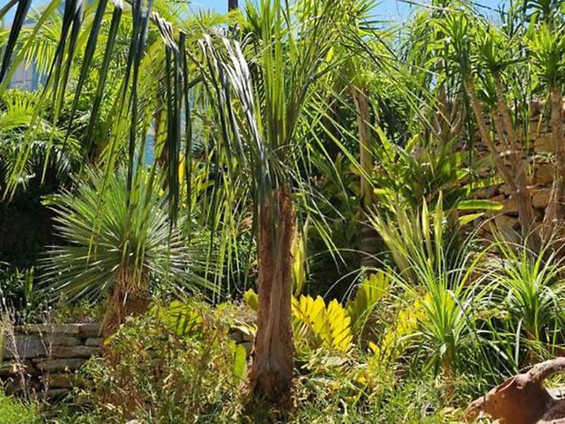 5E29D0A592E851EDCA233379C1725E06