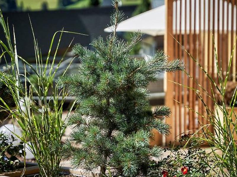 1D1CC168E7B621700CFA4E307915B1FE