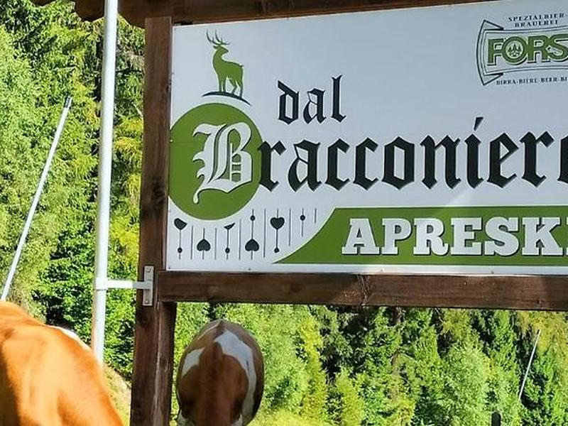 CA3168A565359C98F6448E61AA79DFC8