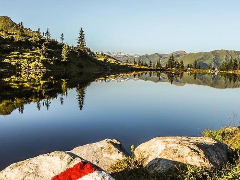 93A25D658DE7016CF9135F04549E5724