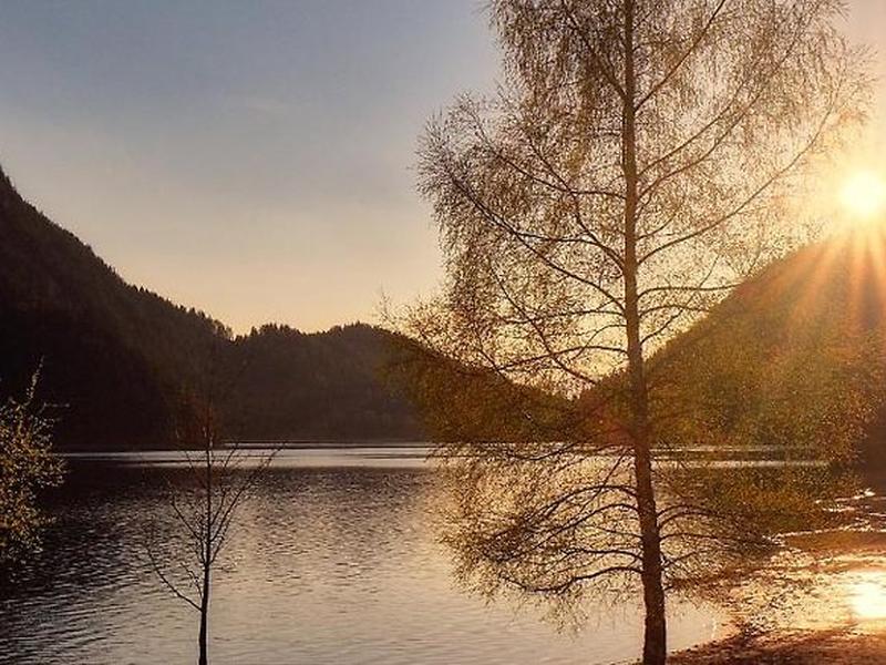 FE2081B4E7F9E2F2733DDC66BBCA7255