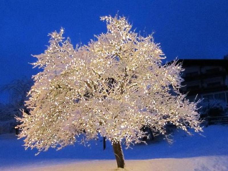 99335241CA552E9B9DEEFBA3B7F07231