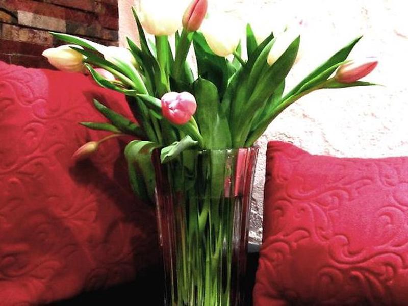 52CE14F0497C16E4182E38EF6D6FF7D4