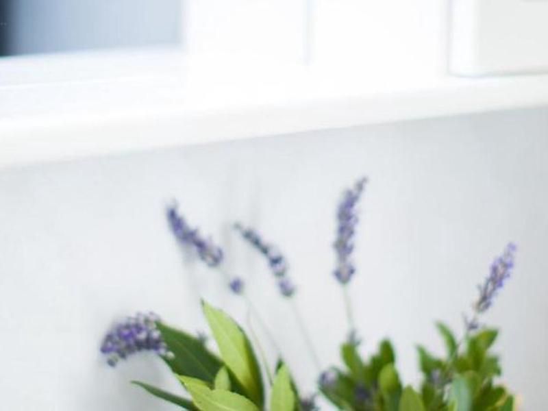 08AFFB7AAEFA0DFD87EF0A1730358EDB