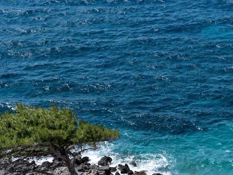 6019A011329668F9DD9CAE435869CE09