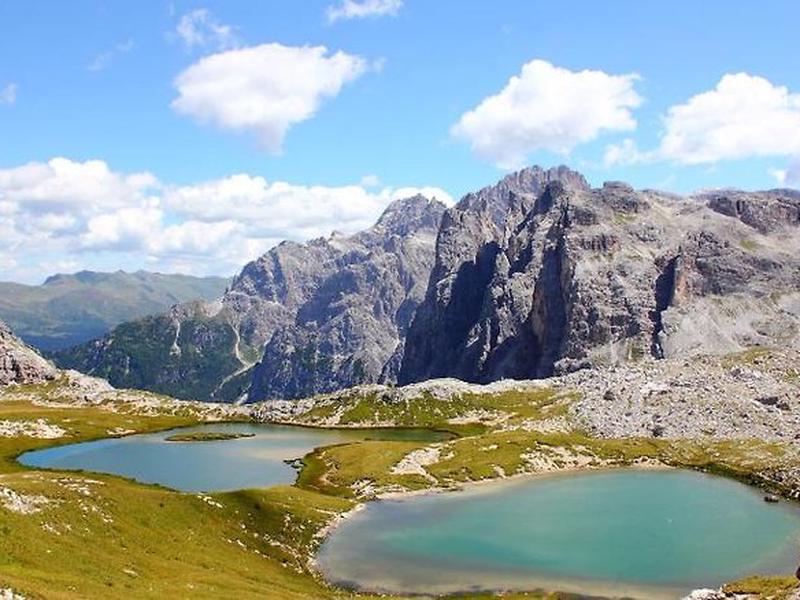 8F6D998226743C3C19B517DA3C9CD2F6