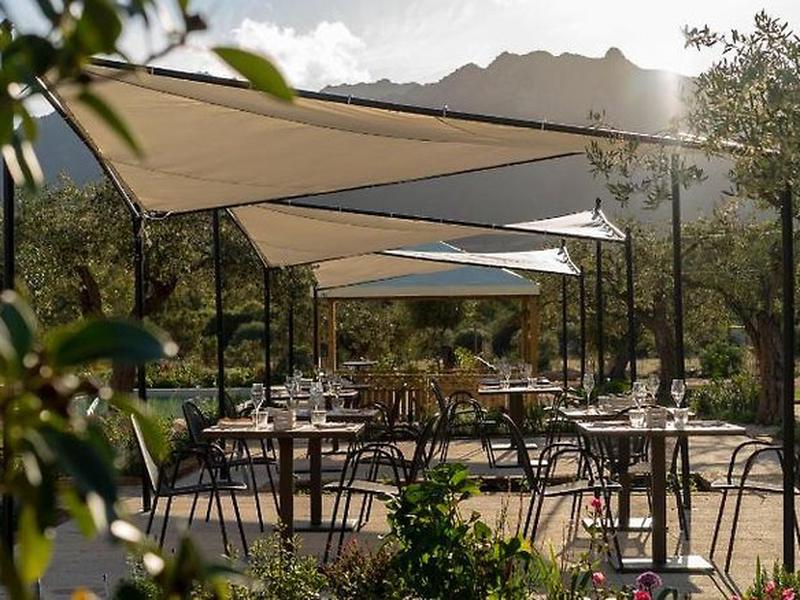 C3EA036BF1DEAC0755BA490AD80C6264