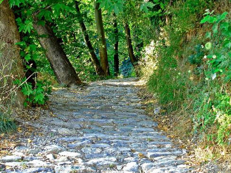 40D23C07E1745DE68E272335E6F19656