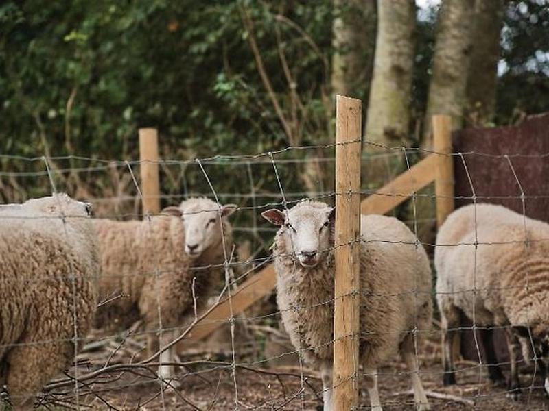 C56C28CBF084CE0F76025194EFB9CBFC