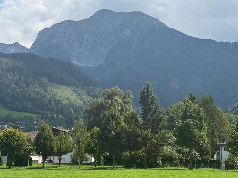 9FE2A1E7E99EEBE3724FEF3E228C31F3