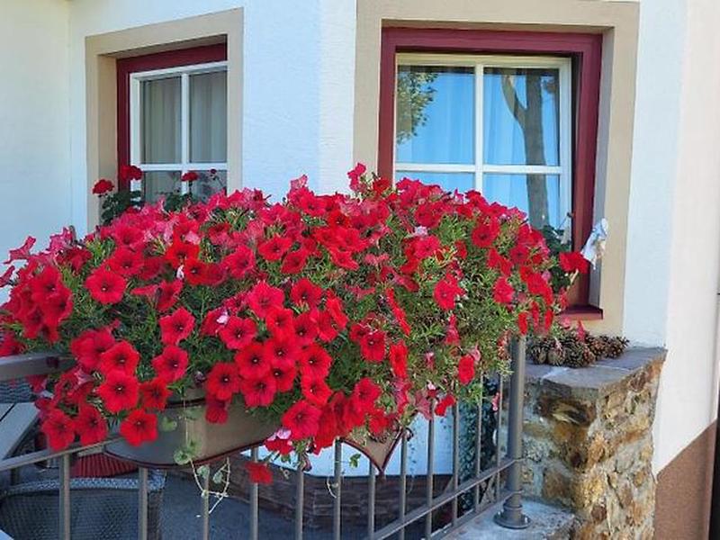 354BABA3052911263A88BB46A46BF9DB