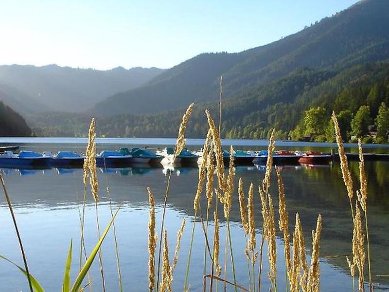 66F1C597795DB2ECE7141DD5939E5041