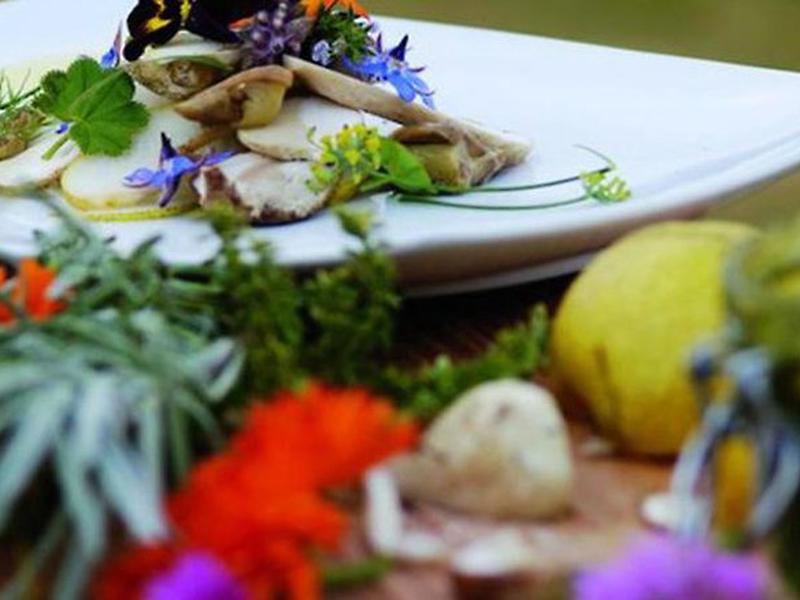 EE4964242D8D4CBF7354FD956F674317