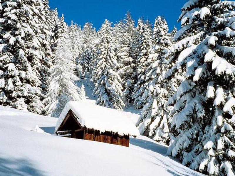 F2570981366CF5B5D7373A78F21F48FF