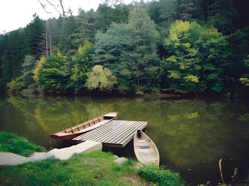 472CD9744DFE3C296A7FC793B34448A4