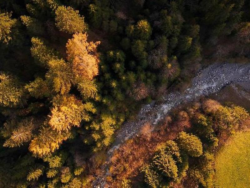 DCEE6D3A11111F10EFE6C13CFEFFDB81