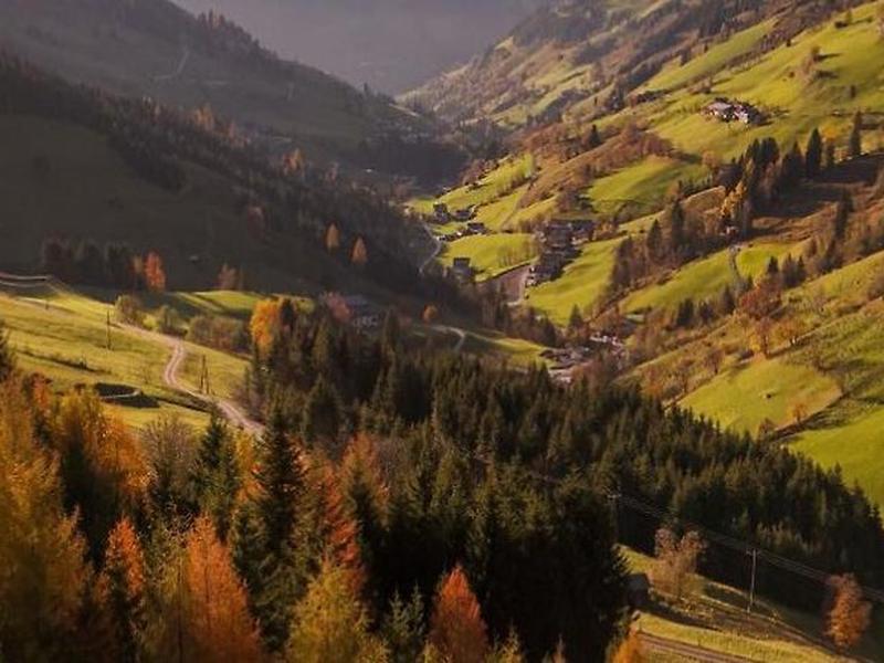 D50F41C746A0709DBC20DB8D2AA3667A