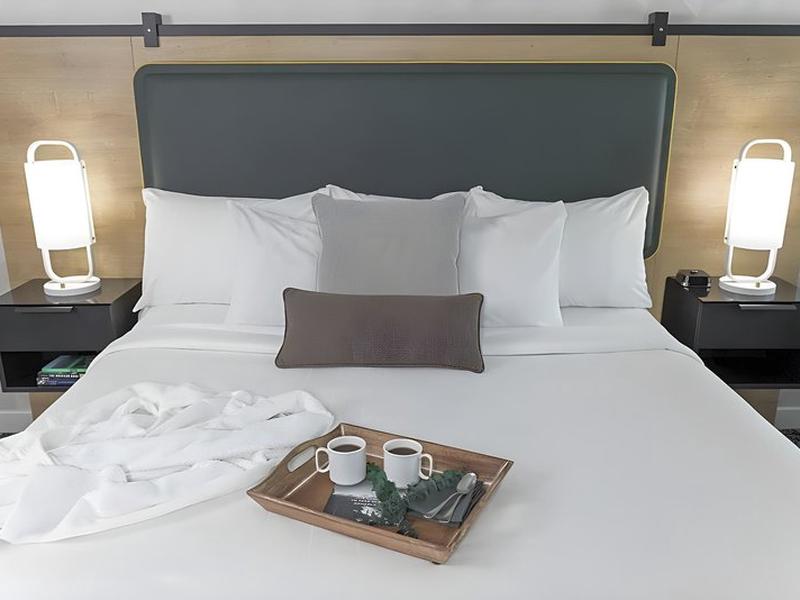 D484FDD1C279D1F921925AF30F29DB37