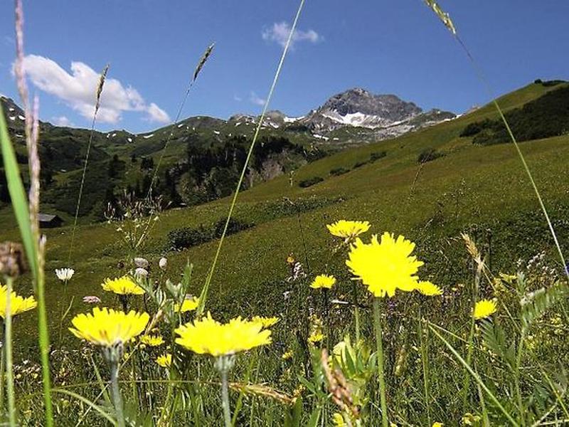 D64262BA7B038EE1D1674B4682FEE8A2