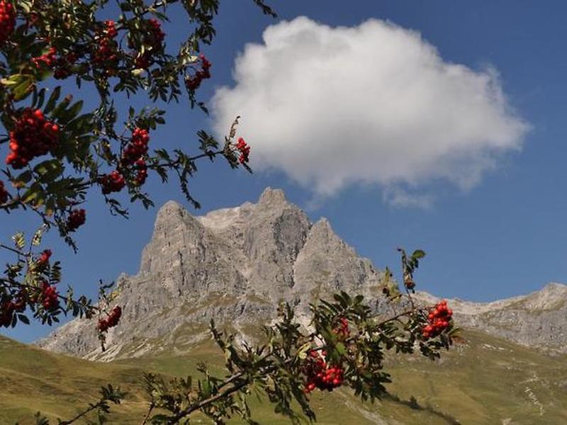 63ADBB92B66B91A461B78A52C414168D