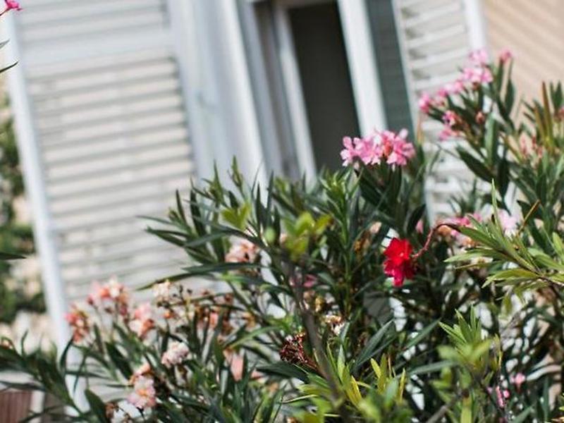 D7066454DFDA39C9F31DA500B96C1B7A