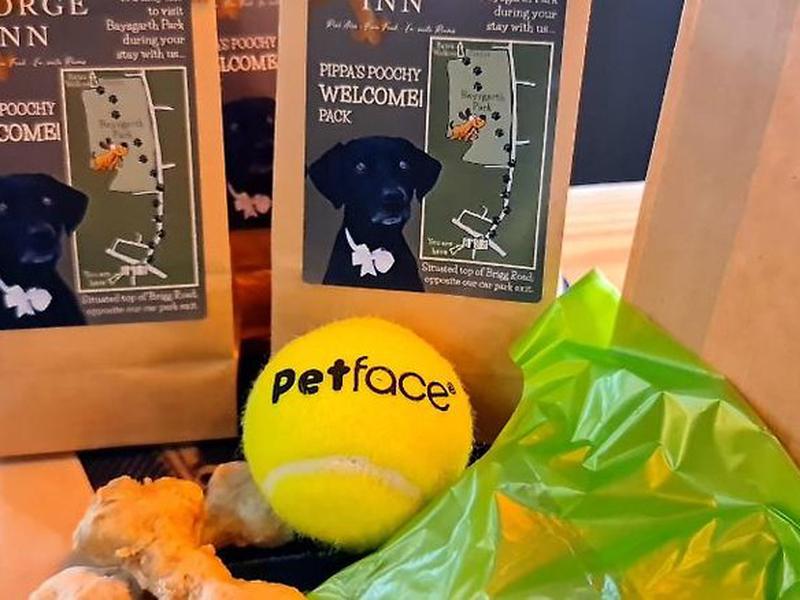 4792B3C05FC1A7AFA5074168CB83CA1E