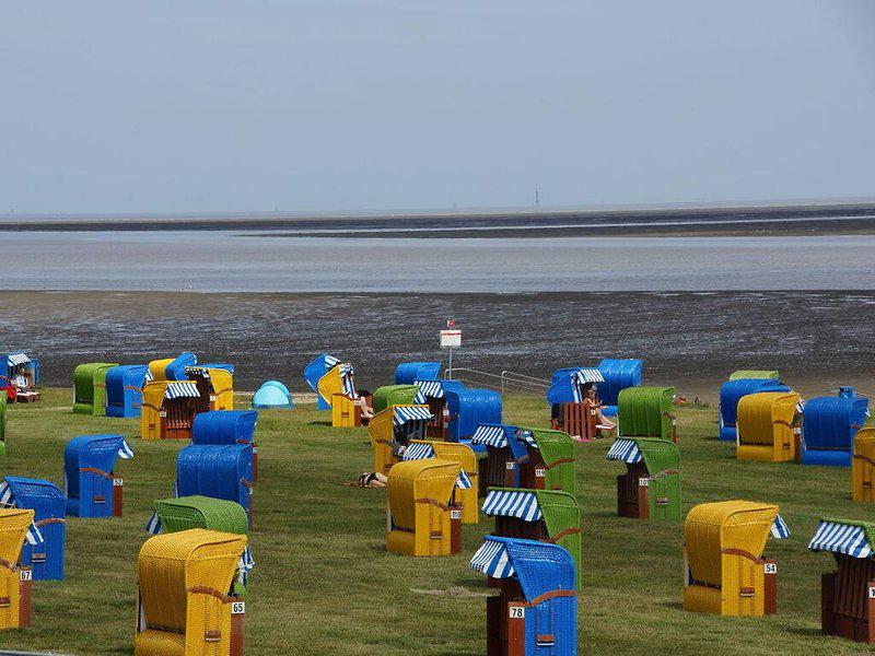 502086DDEFD3A35AF77630BF509E0FCB