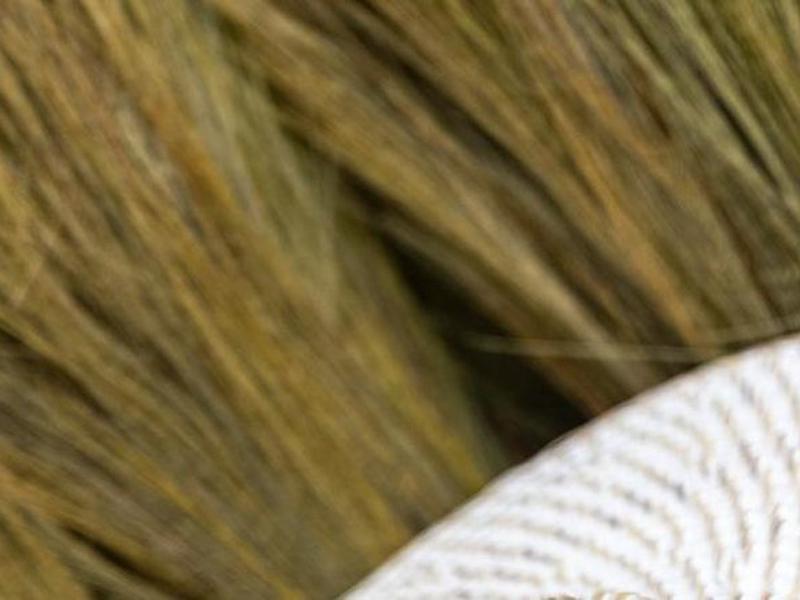 4E571636E5F92607625D60A3CAD15104