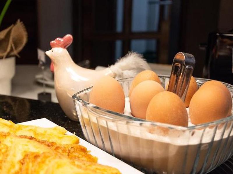 428D0A6B0A7D2AA589BF6985B7E9CEA8