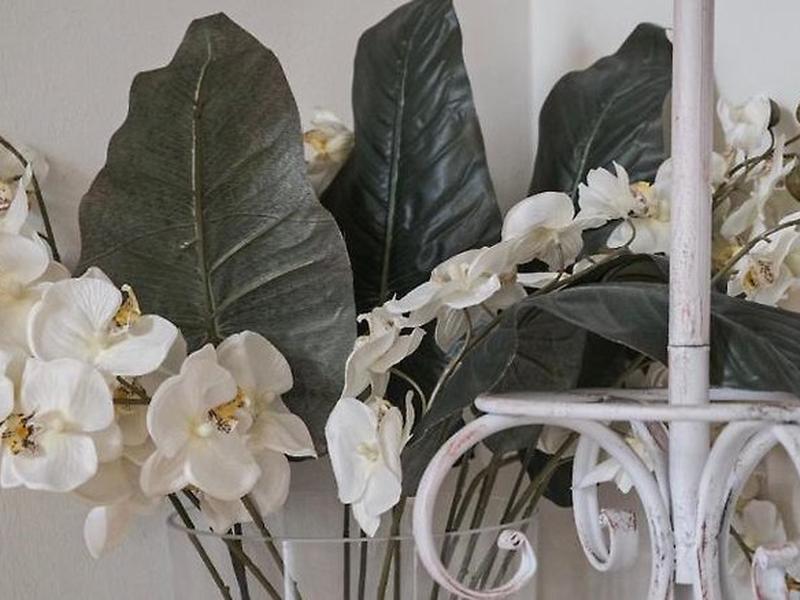 E8CCC9200D9B76A65970DB7C2F23831D