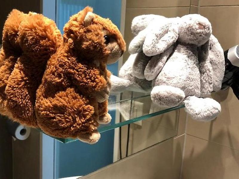 562C6118AB1122FE50FA0EBAA47BDC21