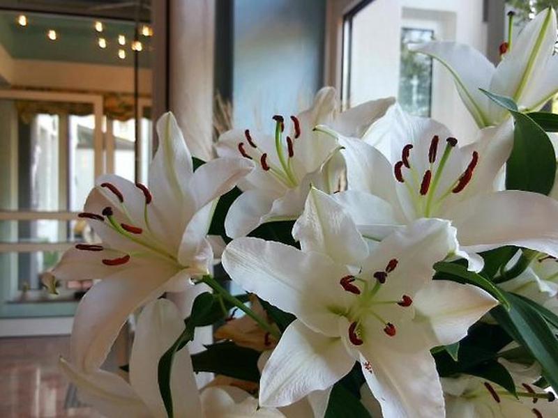 87E02E7A524DAD12E961EB6CFFB19C5C