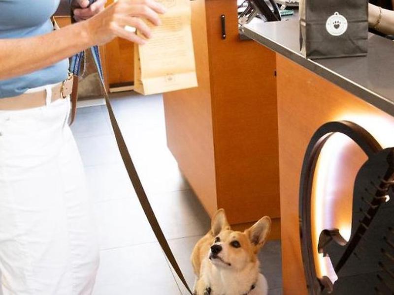 FA176DBDA548D86F59DFC5BFE3A169EE