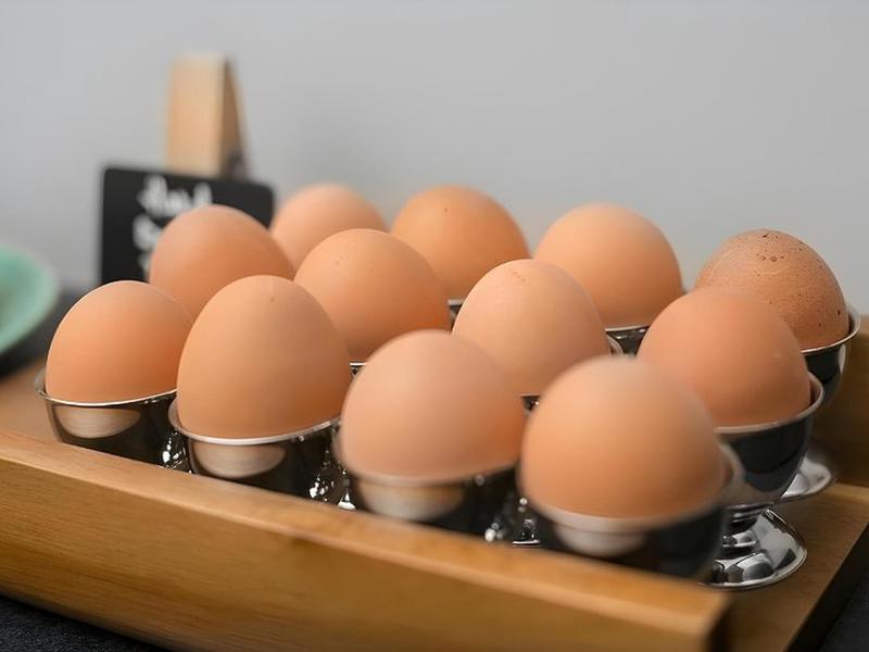 7908CECC003381F776BB2AF216EA0EDF