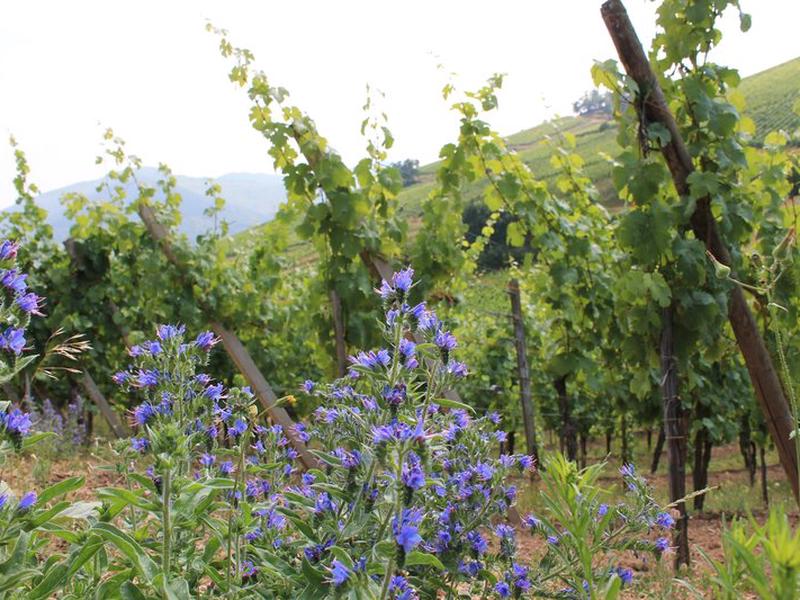 900FC664C97C9692F92F527CA51EA6C6