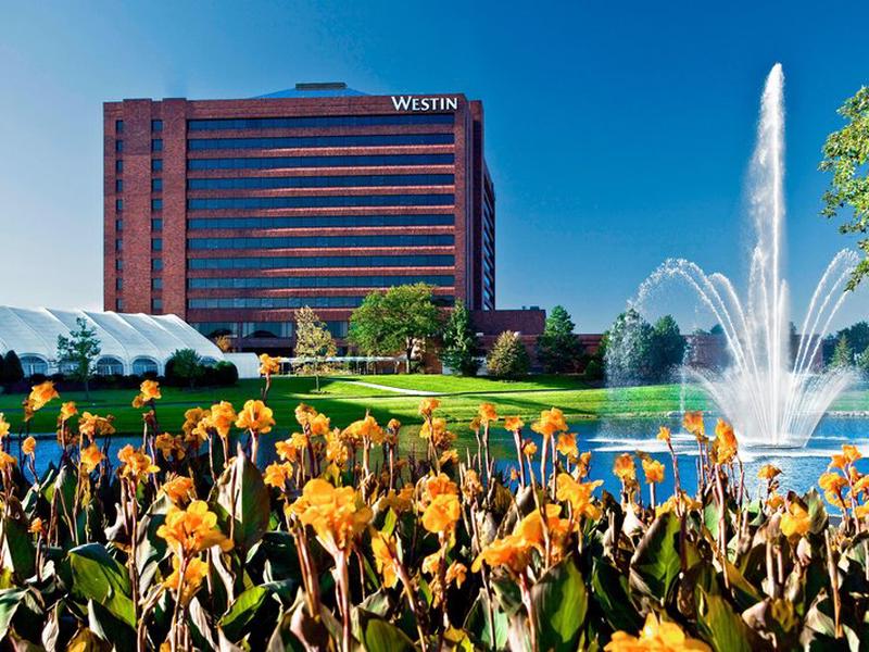 A856147E81BA7D02058DE87C55AFBF00