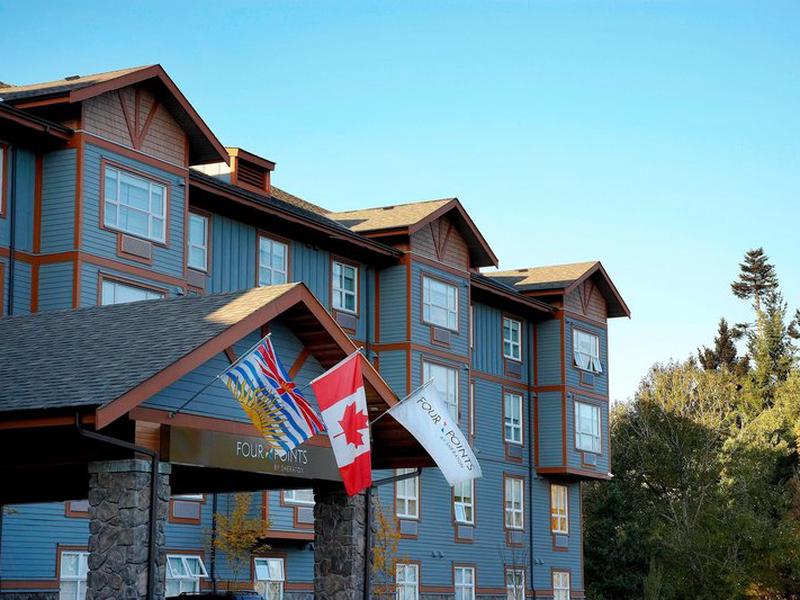 88B002AC83F4871DDE7ACE1A4A60AB1D