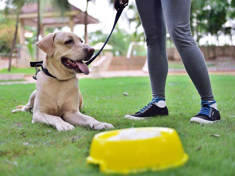 D9120B03BB6EF2835F41A3E44115E2AB