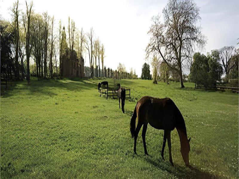 1EC73A72748E0B3A84A1AA629878E1A1