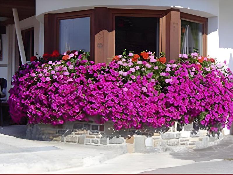 B6B205576388421F4447DCC196DDD242