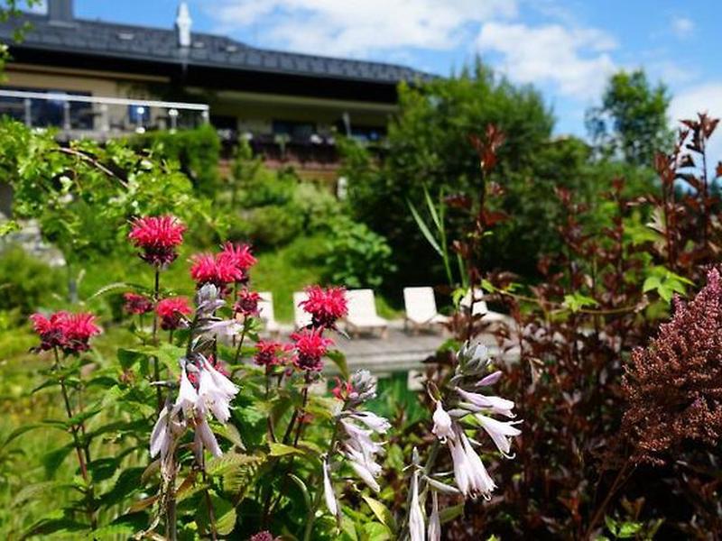 C10EAF2DEFB5CC125BA09A013FBF4B4B
