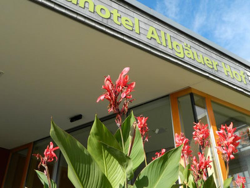 1955EAF184FF6530304D3EE3CFFF64DD