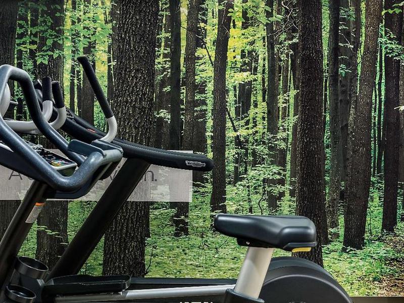 F2E95F4BA5DC6DA979BDDAFB93EB53A9