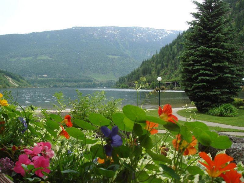 95C92C54580E28085DE6472C0C8EEA37