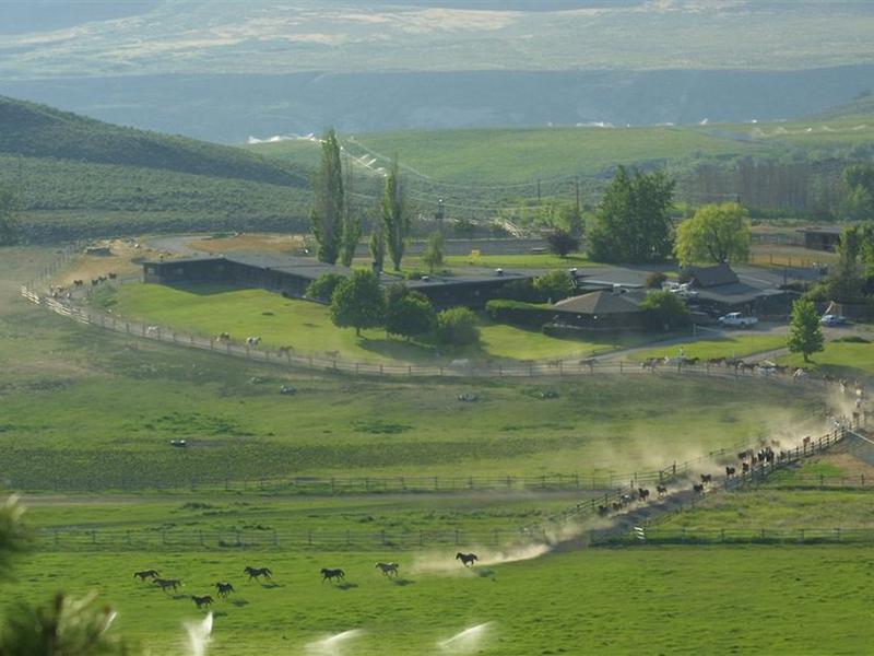 A03A411145420F2C95D188A8C5E8B45D