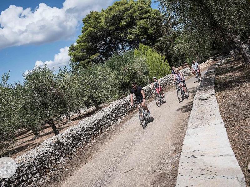 9E387F656599B6EB75B8FA551C8FFEFE