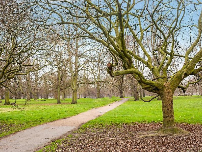 42ADAD84D160910A054E2C087036E883