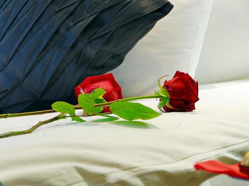 ACAAD3EDCCA5066109A2E7C1E81C6411