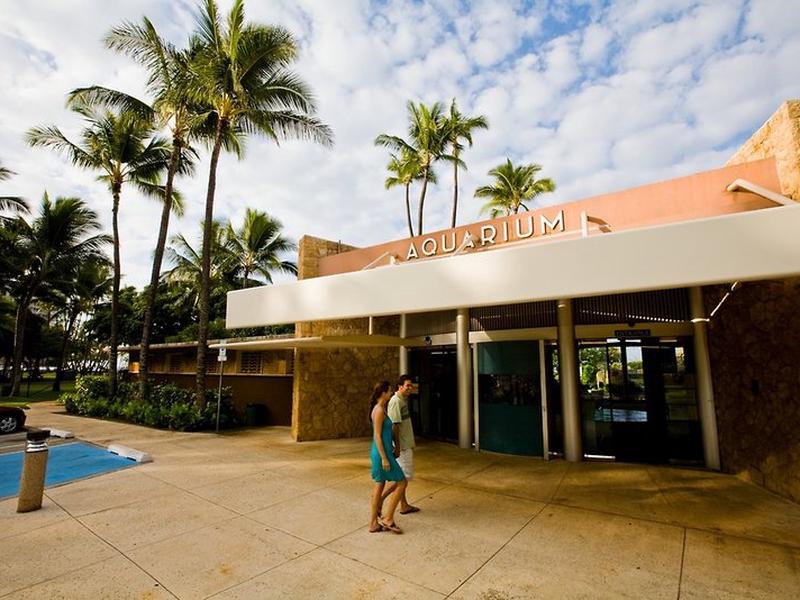 B7D989D5452DE53501AF6E88B267962B